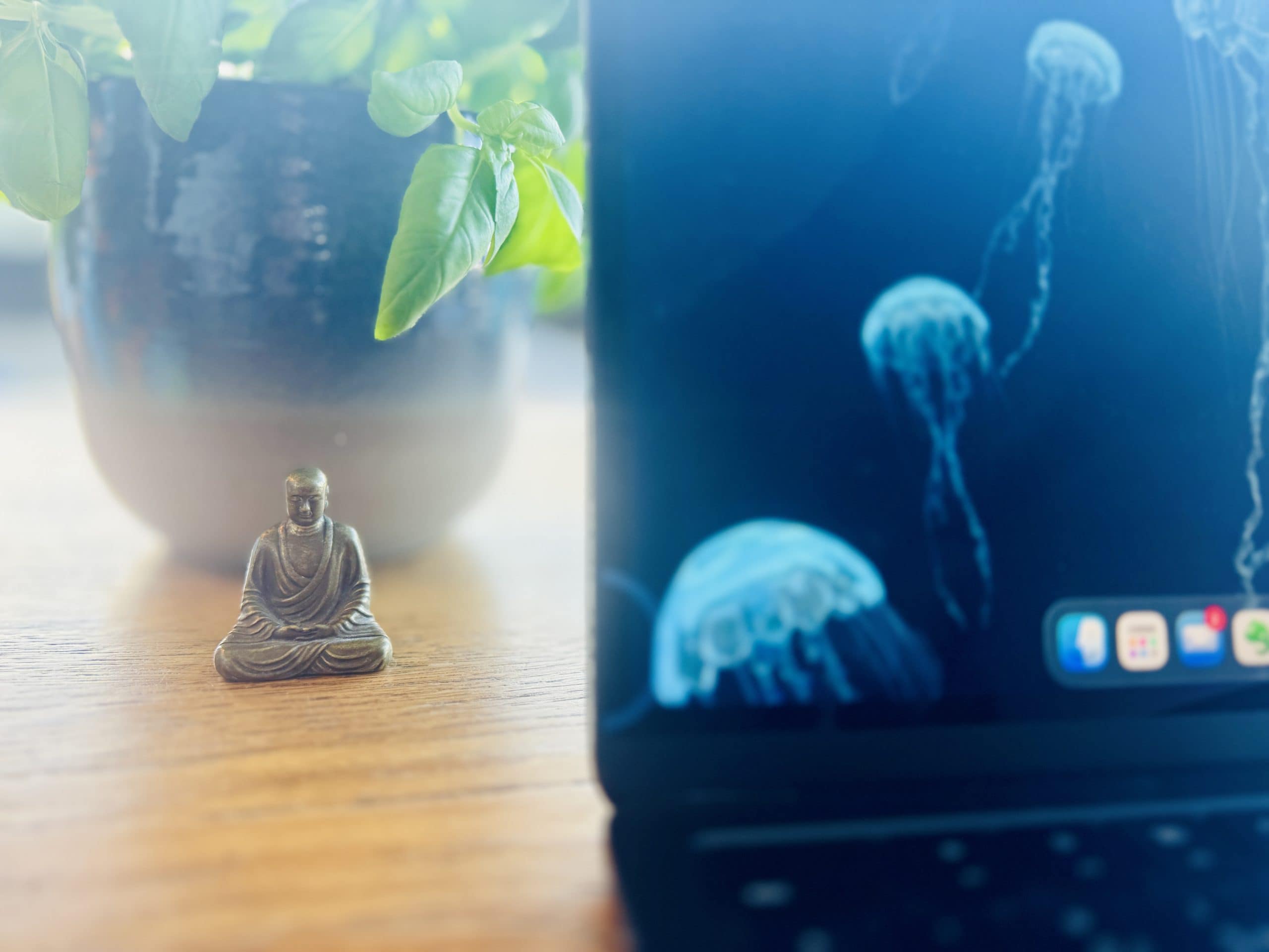 blurred laptop in foreground with focus on small buddha statue and basil plant behind