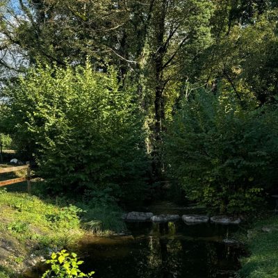 sohum france tt pond