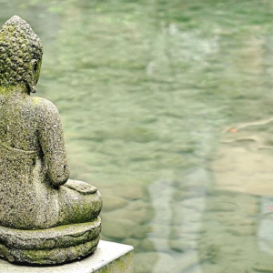 Buddha statue pond
